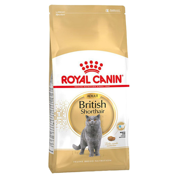 Royal Canin British Shorthair kedi maması